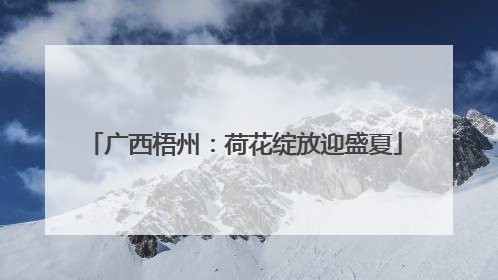 广西梧州：荷花绽放迎盛夏
