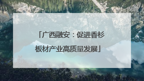 广西融安：促进香杉板材产业高质量发展