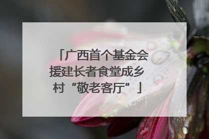 广西首个基金会援建长者食堂成乡村“敬老客厅”