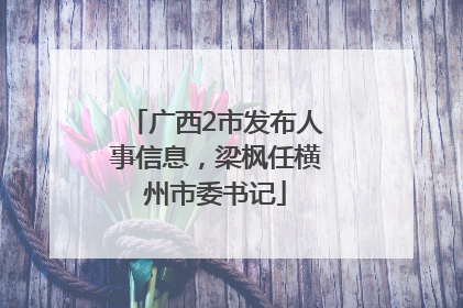 广西2市发布人事信息，梁枫任横州市委书记