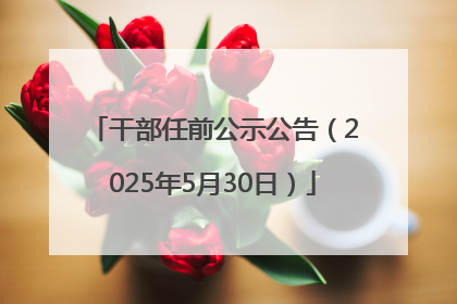 干部任前公示公告（2025年5月30日）