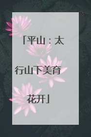 平山：太行山下美育花开