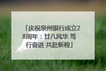 庆祝泉州银行成立28周年：廿八风华 笃行奋进 共赴新程