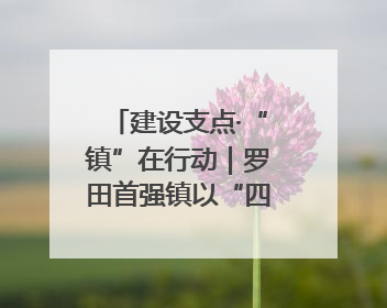 建设支点·“镇”在行动｜罗田首强镇以“四驱发动”践行首镇担当
