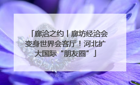 廊洽之约丨廊坊经洽会变身世界会客厅！河北扩大国际“朋友圈”