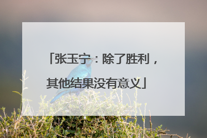张玉宁：除了胜利，其他结果没有意义