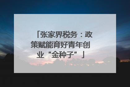 张家界税务：政策赋能育好青年创业“金种子”