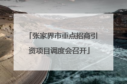 张家界市重点招商引资项目调度会召开