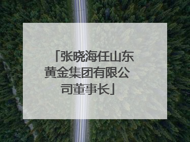 张晓海任山东黄金集团有限公司董事长