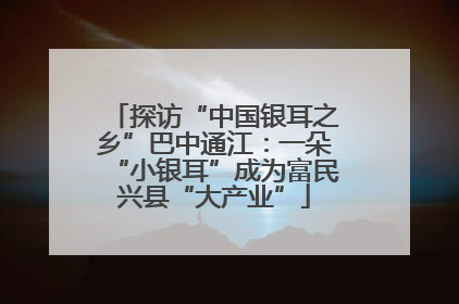 探访“中国银耳之乡”巴中通江：一朵“小银耳”成为富民兴县“大产业”