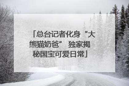 总台记者化身“大熊猫奶爸” 独家揭秘国宝可爱日常