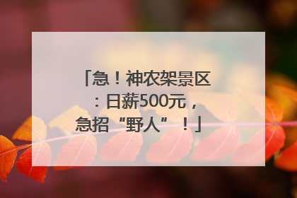 急！神农架景区：日薪500元，急招“野人”！