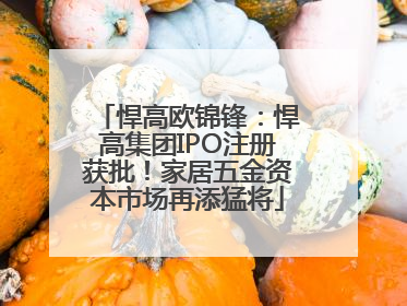 悍高欧锦锋：悍高集团IPO注册获批！家居五金资本市场再添猛将