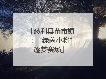 慈利县苗市镇：“绿茵小将”逐梦赛场