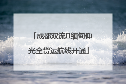 成都双流⇌缅甸仰光全货运航线开通