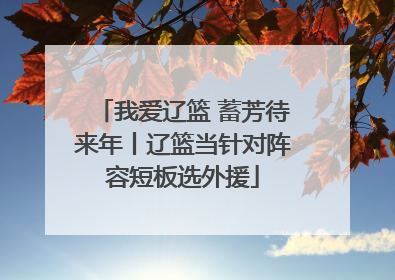 我爱辽篮 蓄芳待来年丨辽篮当针对阵容短板选外援