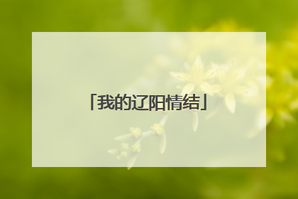 我的辽阳情结