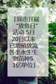 我市开展“放鱼日”活动 5月20日以来已增殖放流各类水生生物苗种5.1亿单位