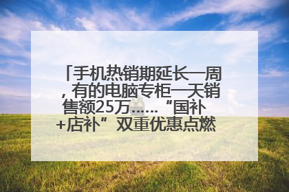 手机热销期延长一周，有的电脑专柜一天销售额25万……“国补+店补”双重优惠点燃德州“考后经济”