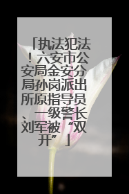 执法犯法！六安市公安局金安分局孙岗派出所原指导员、一级警长刘军被“双开”