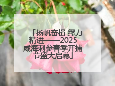 扬帆奋楫 缪力精进——2025威海刺参春季开捕节盛大启幕