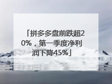 拼多多盘前跌超20%，第一季度净利润下降45%