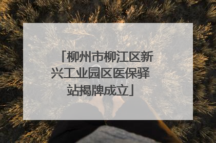 柳州市柳江区新兴工业园区医保驿站揭牌成立