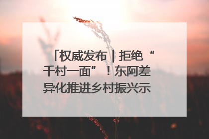 权威发布｜拒绝“千村一面”！东阿差异化推进乡村振兴示范片区建设