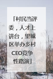 村民当评委，人才上讲台，望城区举办乡村CEO竞争性路演