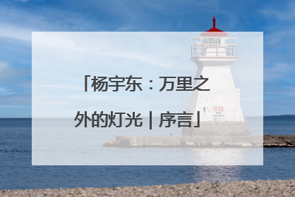 杨宇东：万里之外的灯光｜序言