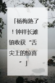杨梅熟了！钟祥长滩镇收获“舌尖上的惊喜”