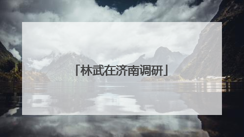林武在济南调研