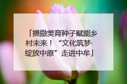 播撒美育种子赋能乡村未来！“文化筑梦·绽放中原”走进中牟