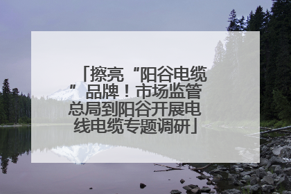 擦亮“阳谷电缆”品牌！市场监管总局到阳谷开展电线电缆专题调研