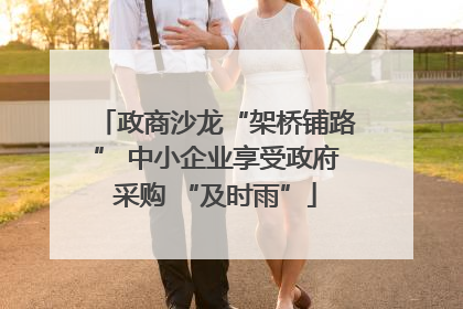 政商沙龙“架桥铺路” 中小企业享受政府采购 “及时雨”