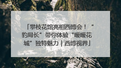 攀枝花馆亮相西博会！“豹局长”带你体验“暖暖花城”独特魅力｜西博视界