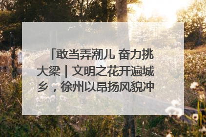 敢当弄潮儿 奋力挑大梁｜文明之花开遍城乡，徐州以昂扬风貌冲刺“万亿之城”