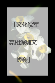 文化皖军亮相深圳文博会