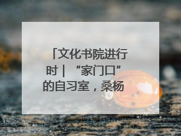 文化书院进行时｜“家门口”的自习室，桑杨社区织就15分钟学习生活圈