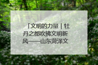 文明的力量｜牡丹之都吹拂文明新风——山东菏泽文明创建一线见闻