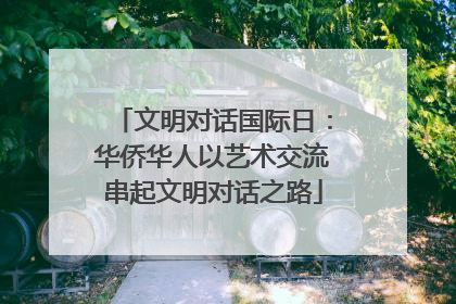 文明对话国际日：华侨华人以艺术交流串起文明对话之路