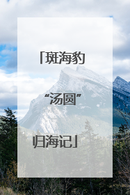 斑海豹“汤圆”归海记
