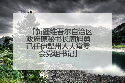 新疆维吾尔自治区政府原秘书长周旭勇已任伊犁州人大常委会党组书记