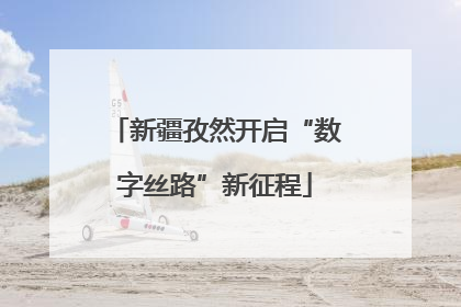 新疆孜然开启“数字丝路”新征程