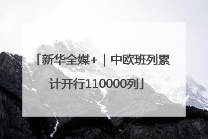 新华全媒+｜中欧班列累计开行110000列