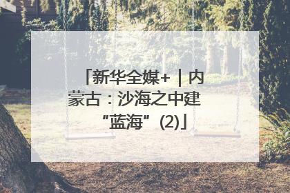 新华全媒+｜内蒙古：沙海之中建“蓝海”(2)
