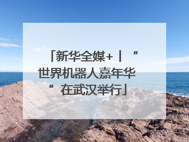 新华全媒+丨“世界机器人嘉年华”在武汉举行