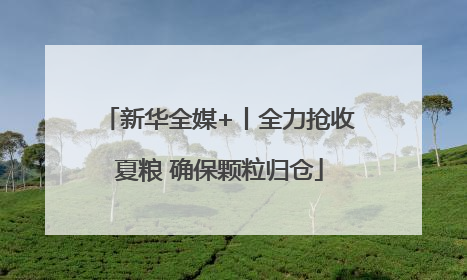 新华全媒+丨全力抢收夏粮 确保颗粒归仓
