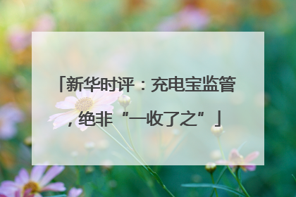 新华时评：充电宝监管，绝非“一收了之”