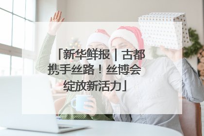 新华鲜报｜古都携手丝路！丝博会绽放新活力
